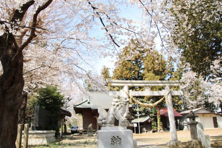 小山市【犬塚公園】の遊具紹介！遊具がリニューアルし遊びやすく！ - とちぎびより